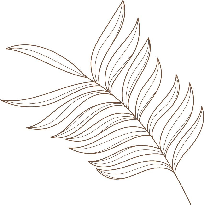 Solid brown background